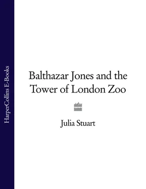 Julia Stuart Balthazar Jones and the Tower of London Zoo обложка книги