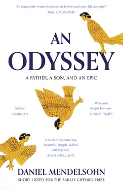 Daniel Mendelsohn An Odyssey: A Father, A Son and an Epic: SHORTLISTED FOR THE BAILLIE GIFFORD PRIZE 2017