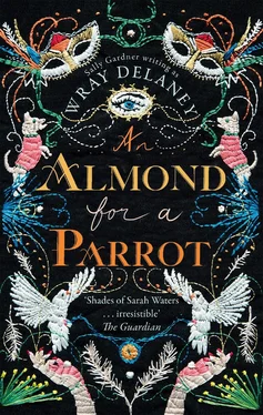 Wray Delaney An Almond for a Parrot: the gripping and decadent historical page turner обложка книги