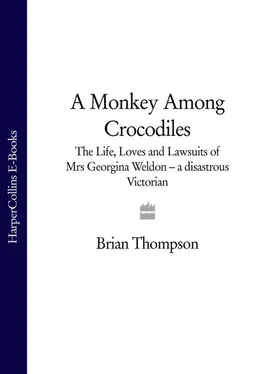 Brian Thompson A Monkey Among Crocodiles: The Life, Loves and Lawsuits of Mrs Georgina Weldon – a disastrous Victorian [Text only] обложка книги