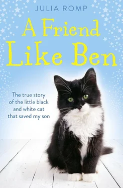 Julia Romp A Friend Like Ben: The true story of the little black and white cat that saved my son обложка книги