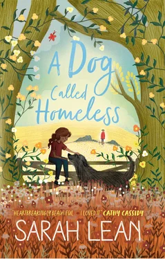 Sarah Lean A Dog Called Homeless обложка книги