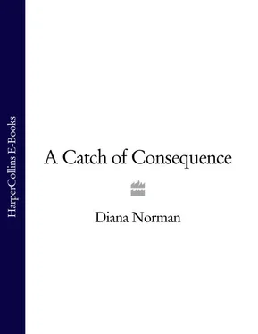 Diana Norman A Catch of Consequence обложка книги