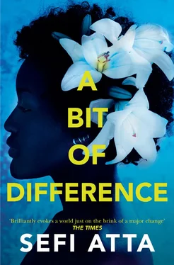 Sefi Atta A Bit of Difference обложка книги