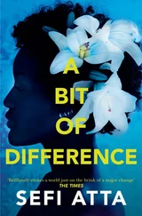 Sefi Atta - A Bit of Difference