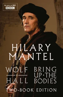 Hilary Mantel Wolf Hall & Bring Up The Bodies: Two-Book Edition обложка книги