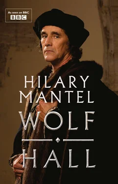 Hilary Mantel Wolf Hall: Shortlisted for the Golden Man Booker Prize обложка книги