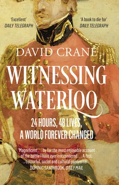 David Crane Witnessing Waterloo: 24 Hours, 48 Lives, A World Forever Changed обложка книги