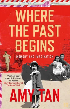 Amy Tan Where the Past Begins: A Writer’s Memoir обложка книги