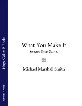 Michael Smith What You Make It: Selected Short Stories обложка книги