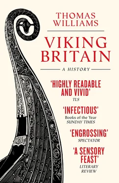 Thomas Williams Viking Britain: A History обложка книги