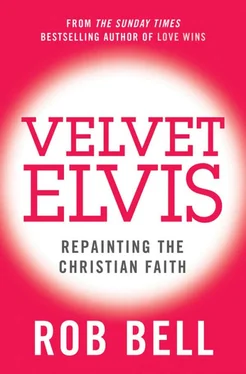 Rob Bell Velvet Elvis: Repainting the Christian Faith обложка книги