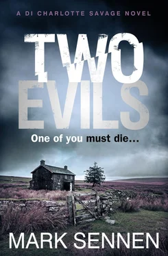 Mark Sennen Two Evils: A DI Charlotte Savage Novel обложка книги