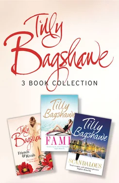 Tilly Bagshawe Tilly Bagshawe 3-book Bundle: Scandalous, Fame, Friends and Rivals обложка книги