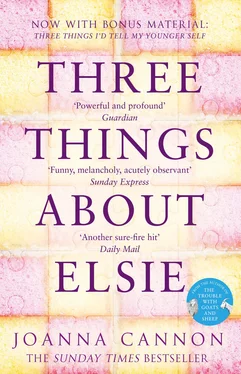 Joanna Cannon Three Things About Elsie: A Richard and Judy Book Club Pick 2018 обложка книги