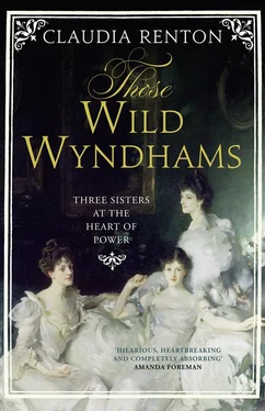 Claudia Renton Those Wild Wyndhams: Three Sisters at the Heart of Power обложка книги