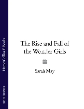 Sarah May The Rise and Fall of the Wonder Girls обложка книги