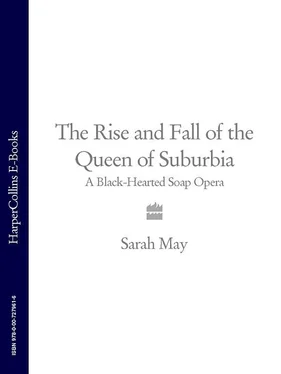 Sarah May The Rise and Fall of the Queen of Suburbia: A Black-Hearted Soap Opera обложка книги