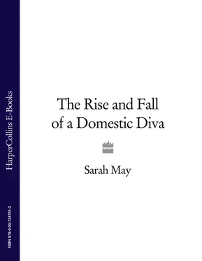 Sarah May The Rise and Fall of a Domestic Diva обложка книги