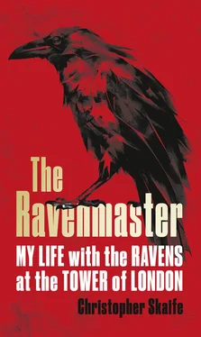 Christopher Skaife The Ravenmaster: My Life with the Ravens at the Tower of London обложка книги
