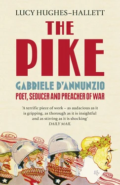 Lucy Hughes-Hallett The Pike: Gabriele d’Annunzio, Poet, Seducer and Preacher of War обложка книги