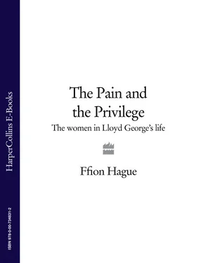 Ffion Hague The Pain and the Privilege: The Women in Lloyd George’s Life обложка книги