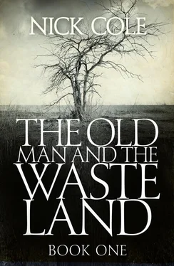 Nick Cole The Old Man and the Wasteland обложка книги