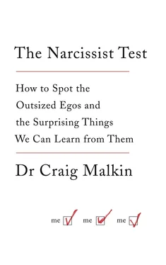 Dr Malkin The Narcissist Test: How to spot outsized egos ... and the surprising things we can learn from them обложка книги