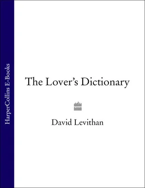 David Levithan The Lover’s Dictionary: A Love Story in 185 Definitions обложка книги