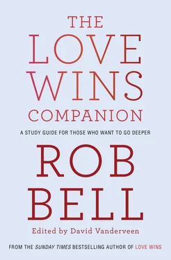 Rob Bell The Love Wins Companion: A Study Guide For Those Who Want to Go Deeper обложка книги