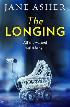 Jane Asher The Longing: A bestselling psychological thriller you won’t be able to put down обложка книги