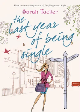 Sarah Tucker The Last Year Of Being Single обложка книги