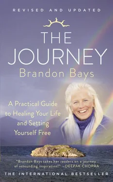 Brandon Bays The Journey: A Practical Guide to Healing Your life and Setting Yourself Free обложка книги