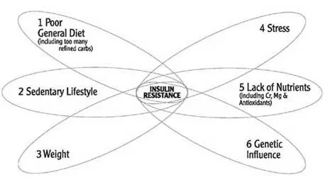 Age and insulin Whatever your ethnic origin your risk of Insulin Resistance - фото 24