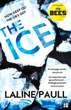 Laline Paull The Ice: A gripping thriller for our times from the Bailey’s shortlisted author of The Bees обложка книги
