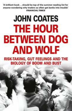 John Coates The Hour Between Dog and Wolf: Risk-taking, Gut Feelings and the Biology of Boom and Bust обложка книги