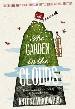 Antony Woodward The Garden in the Clouds: From Derelict Smallholding to Mountain Paradise обложка книги