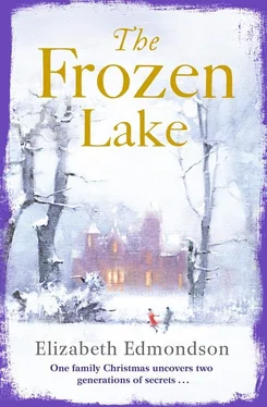 Elizabeth Edmondson The Frozen Lake: A gripping novel of family and wartime secrets обложка книги