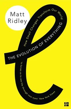 Matt Ridley The Evolution of Everything: How Small Changes Transform Our World обложка книги