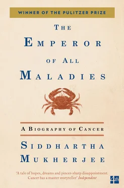 Siddhartha Mukherjee The Emperor of All Maladies обложка книги