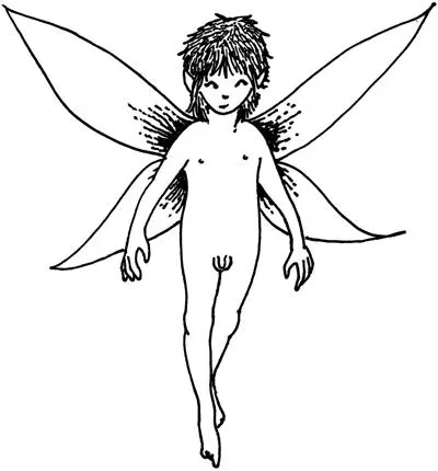 Variations on this theme include an Icelandic tale in which a woman constructs - фото 30