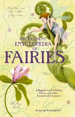 Lucy Cooper THE ELEMENT ENCYCLOPEDIA OF FAIRIES: An A-Z of Fairies, Pixies, and other Fantastical Creatures обложка книги