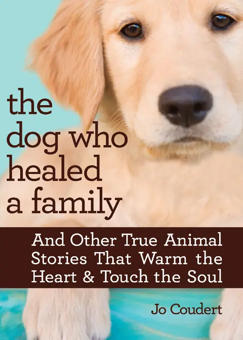 the dog who healed a family And Other True Animal Stories That Warm the Heart - фото 1