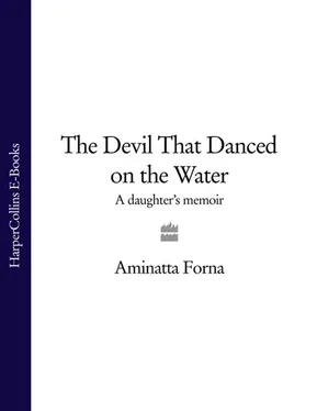 Aminatta Forna The Devil That Danced on the Water: A Daughter’s Memoir обложка книги