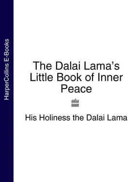 His Holiness the Dalai Lama The Dalai Lama’s Little Book of Inner Peace обложка книги