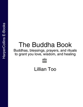 Lillian Too The Buddha Book: Buddhas, blessings, prayers, and rituals to grant you love, wisdom, and healing обложка книги