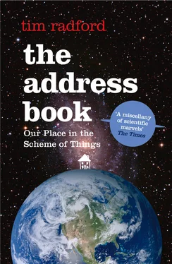 Tim Radford The Address Book: Our Place in the Scheme of Things обложка книги
