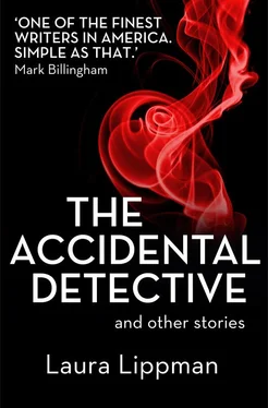 Laura Lippman The Accidental Detective and other stories: Short Story Collection обложка книги