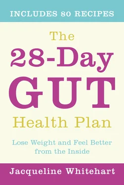 Jacqueline Whitehart The 28-Day Gut Health Plan: Lose weight and feel better from the inside обложка книги