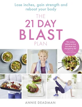 Annie Deadman The 21 Day Blast Plan: Lose weight, lose inches, gain strength and reboot your body обложка книги